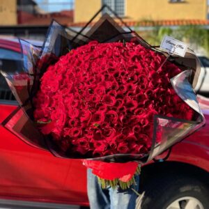 Ramo de 500 rosas rojas